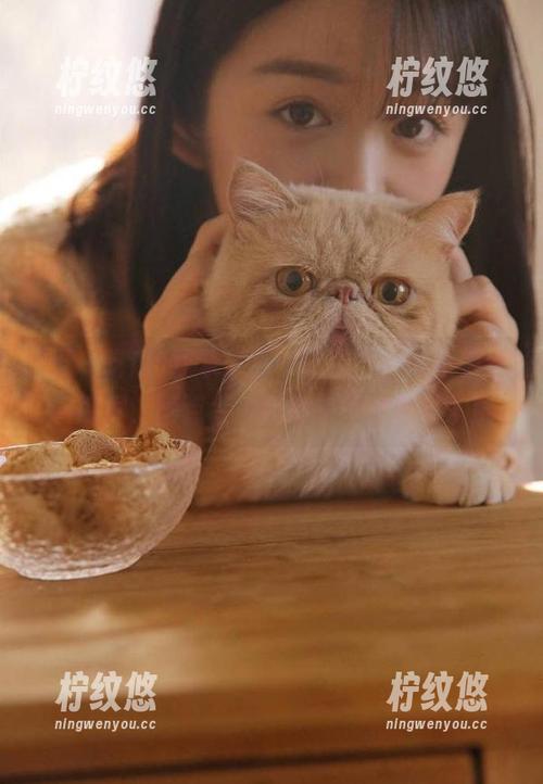 登录“五一吃瓜”，准备被黑料刷屏，槽点太多我都来不及记录了！