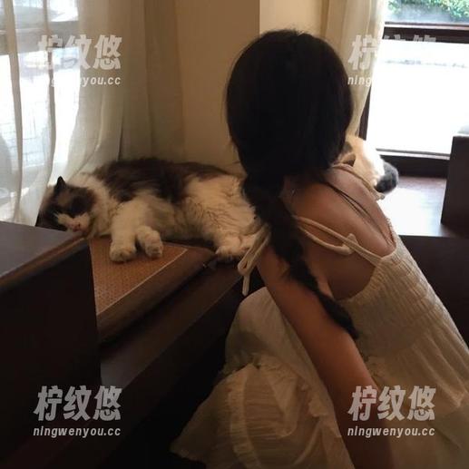 免费的黑料社下载，不仅能放松心情，还能助你成为“八卦大师”！